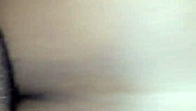 the wet creamy black bbw pussy drips as the fat man dives in