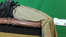 i inspect scarlett johnson's vag wrong