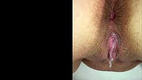 Is submissive kitten 28 weeks pregnant and blackbred?