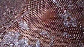 Gretala Flashing in Transparent Thong While Pregnant