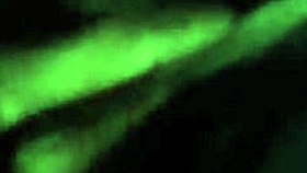 whore wife takes huge sperm load in tight pussy in front of cuckold husband