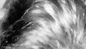 Taking care of the cheating wife again as she begs for more