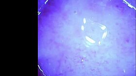 metal grannys vibrator cam