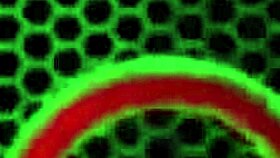 Busty milf Julia Ann cums on piano