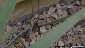 You Really Followed Me to Another State?