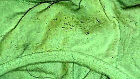 found these dirty panties in the trash, what now?