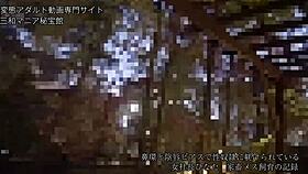 i got dis japanese slave hinata, shes so submissive and stuff