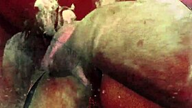 Vintage taboo pussy & pooch