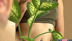 do you like my outfit in this pantyhose - luna rose