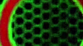 i bouncin my ass as cereza rides sara jay's huge strap-on