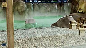 harem hotel episode 46