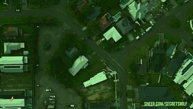 Protein Breakfast For The Mature Woman