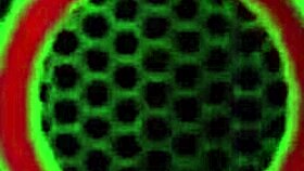 BOBBI EDEN CUNNILINGUS & MORE