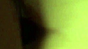 Big Ass Bbw Bent Over In Doggystyle?