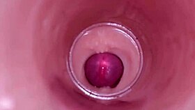 Female insemination internal camera captures deep male ejaculation