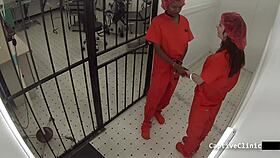 Lesbian torment clinics of america lilly lyle nikki star