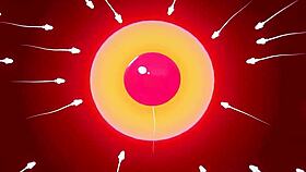 Team RWBY's Intense Workout Session