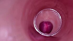 Female insemination internal camera captures deep male ejaculation