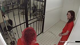 Lesbian torment clinics of america lilly lyle nikki star