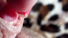 i watched as the huge clitoris had an intense orgasm in closeup