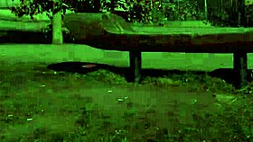 chrissy fox pissing scene