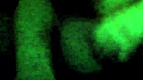 this is the twenty sixth video in our series of clips