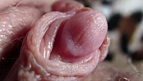 i watched as the huge clitoris had an intense orgasm in closeup