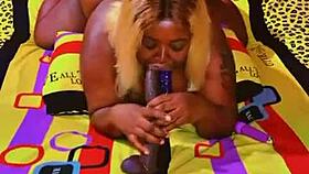 Sundaydogood614 update 589 on November 3 2024