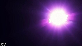 wet puffy doggystyle dildo?