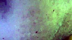 huge brazilian milf alina swallows cum in mouth orgasm!