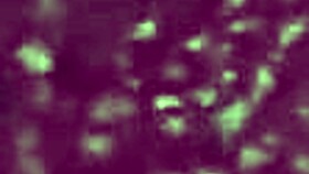 fucking blonde mommy