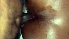 pov fucking latina pussy and asshole hard