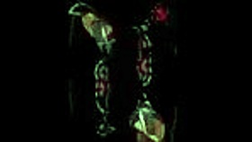 vrlatina com - tight anal sex in 5k vr 😏