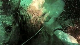 Dark Lantern Entertainment Presents Vintage Pussy Riding And Beaver Scenes