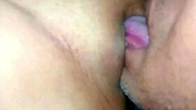 Indian hot girl janvibhabhi in hard pussy licking and sucking sex video