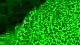 willow the milf gets her first black breeding