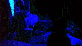 ebony babe sucks cock in blue room