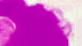 Can these feisty fitness chicks alexis crystal and nicole love resist inviting the neighbour for a hot threesome gp3058?