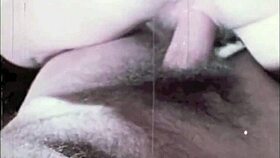 dark lantern entertainment presents the dragonfly freddie in vintage retro style