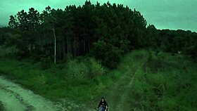 Outdoor adventure in the woods with friends.