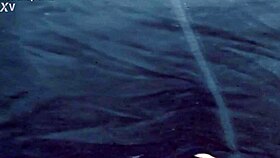 Is this trans woman riding a dildo seductively?