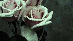 Mcr - i dont love you sub espa�ol