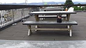 Beautiful Asian OL Mates During Break!