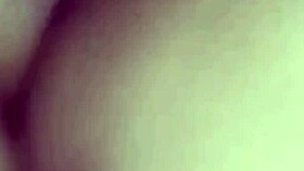 The amateur crossdressing transsexual in a gay passionate session