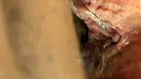 Hungry Licking Of Juicy Fat Ass Pussy Sends Shivers And Multiple Cums