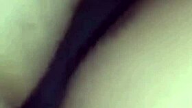 The amateur crossdressing transsexual in a gay passionate session