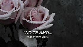 Mcr - i dont love you sub espa�ol