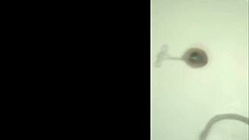 My Shaved Pussy Craves a Nice Dildo for Intense Pleasure