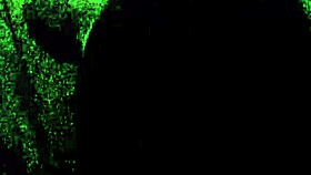 i gots a beautiful blonde wife