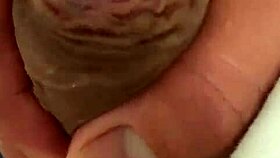 Pekeshow1620 delivers fresh update showcase